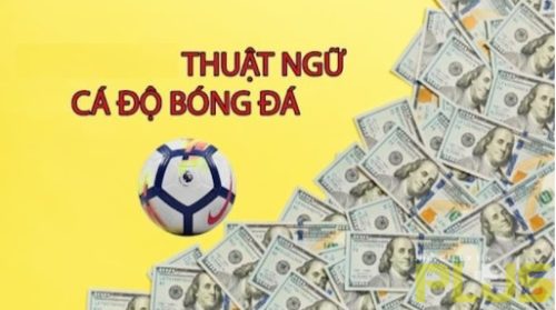 thuật ngữ cá độ bóng đá