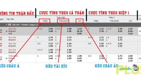 Tổng hợp các cách đọc kèo bóng đá đang có mặt tại nhà cái